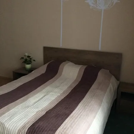 Rigó Lak Apartman *